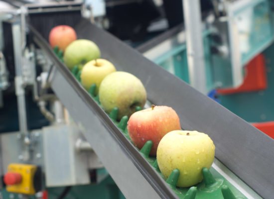 What are the competitive advantages of overhead conveyors | Bridgeveyor